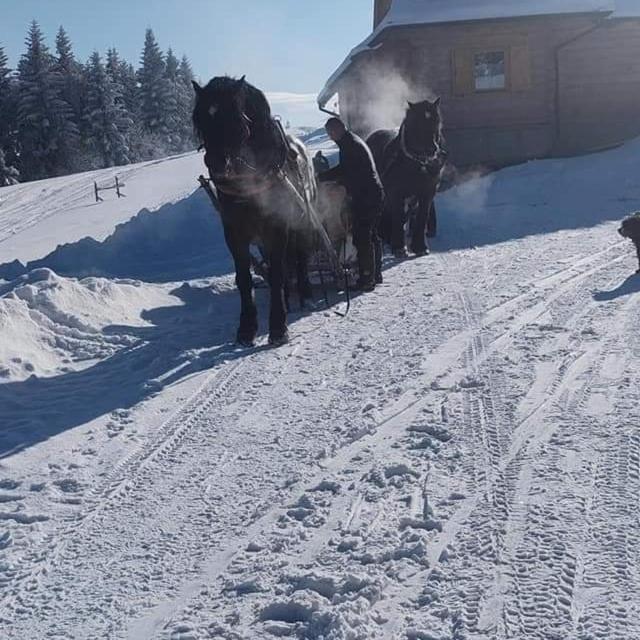 Gosciniec Dziubasowki Βίλα Nowy Targ Εξωτερικό φωτογραφία