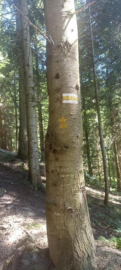 Gosciniec Dziubasowki Βίλα Nowy Targ Εξωτερικό φωτογραφία