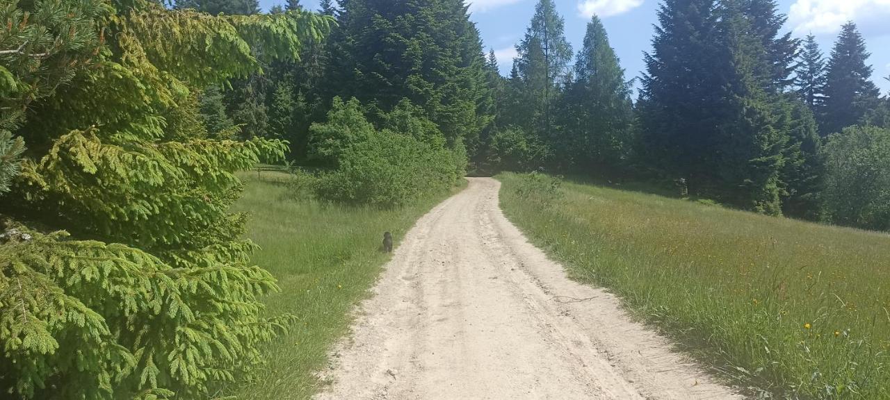 Gosciniec Dziubasowki Βίλα Nowy Targ Εξωτερικό φωτογραφία