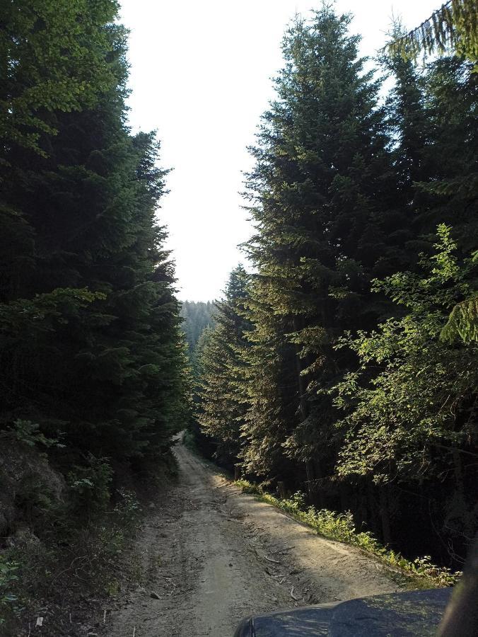 Gosciniec Dziubasowki Βίλα Nowy Targ Εξωτερικό φωτογραφία