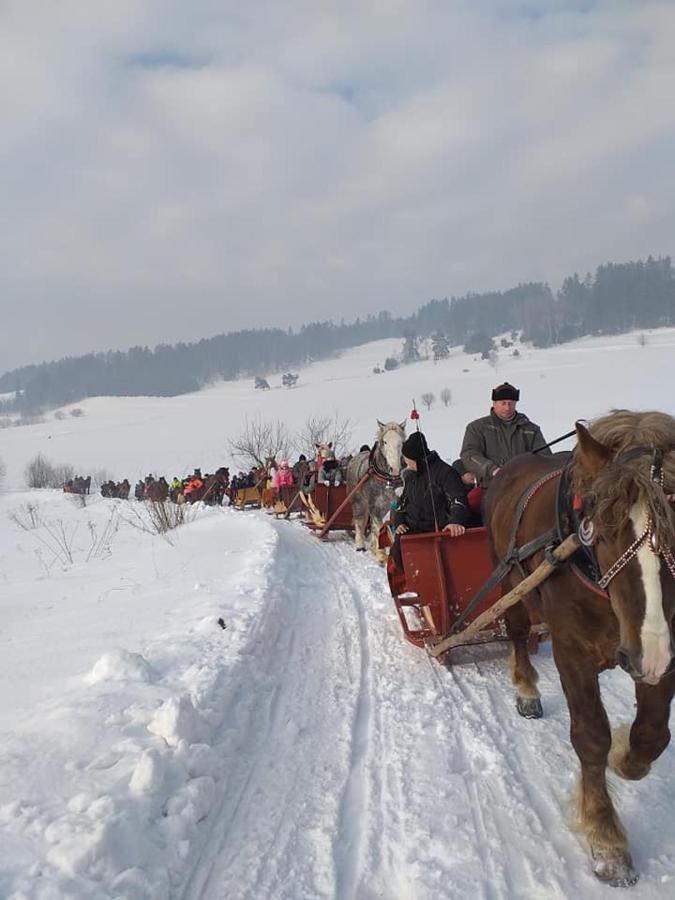 Gosciniec Dziubasowki Βίλα Nowy Targ Εξωτερικό φωτογραφία